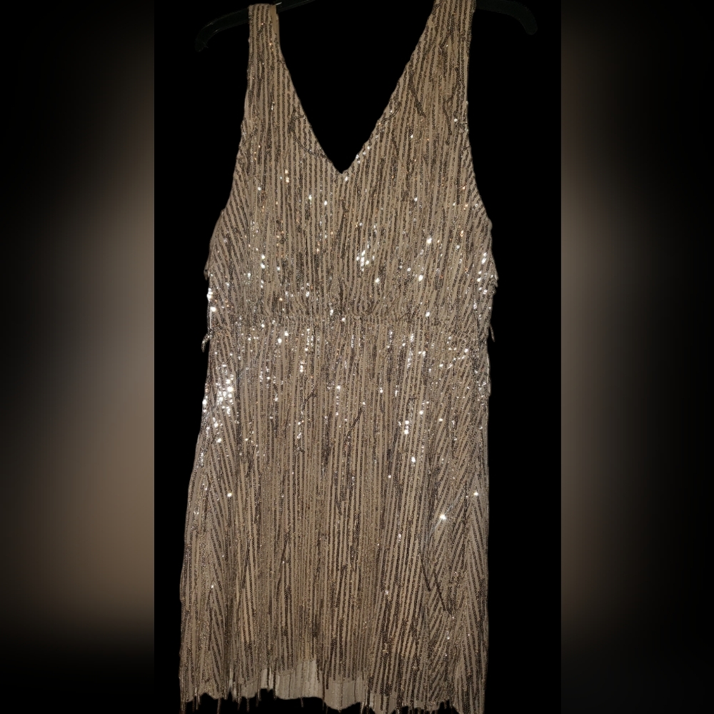 Southern Fried Chics Glitter Fringe Dress